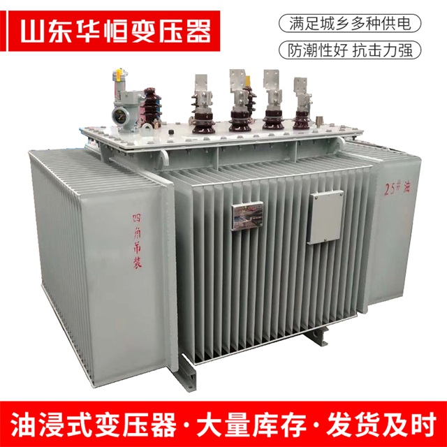 S13-10000/35修水修水修水电力变压器厂家