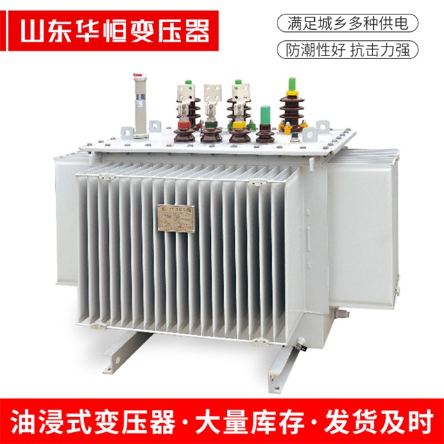 S13-10000/35修水修水修水电力变压器